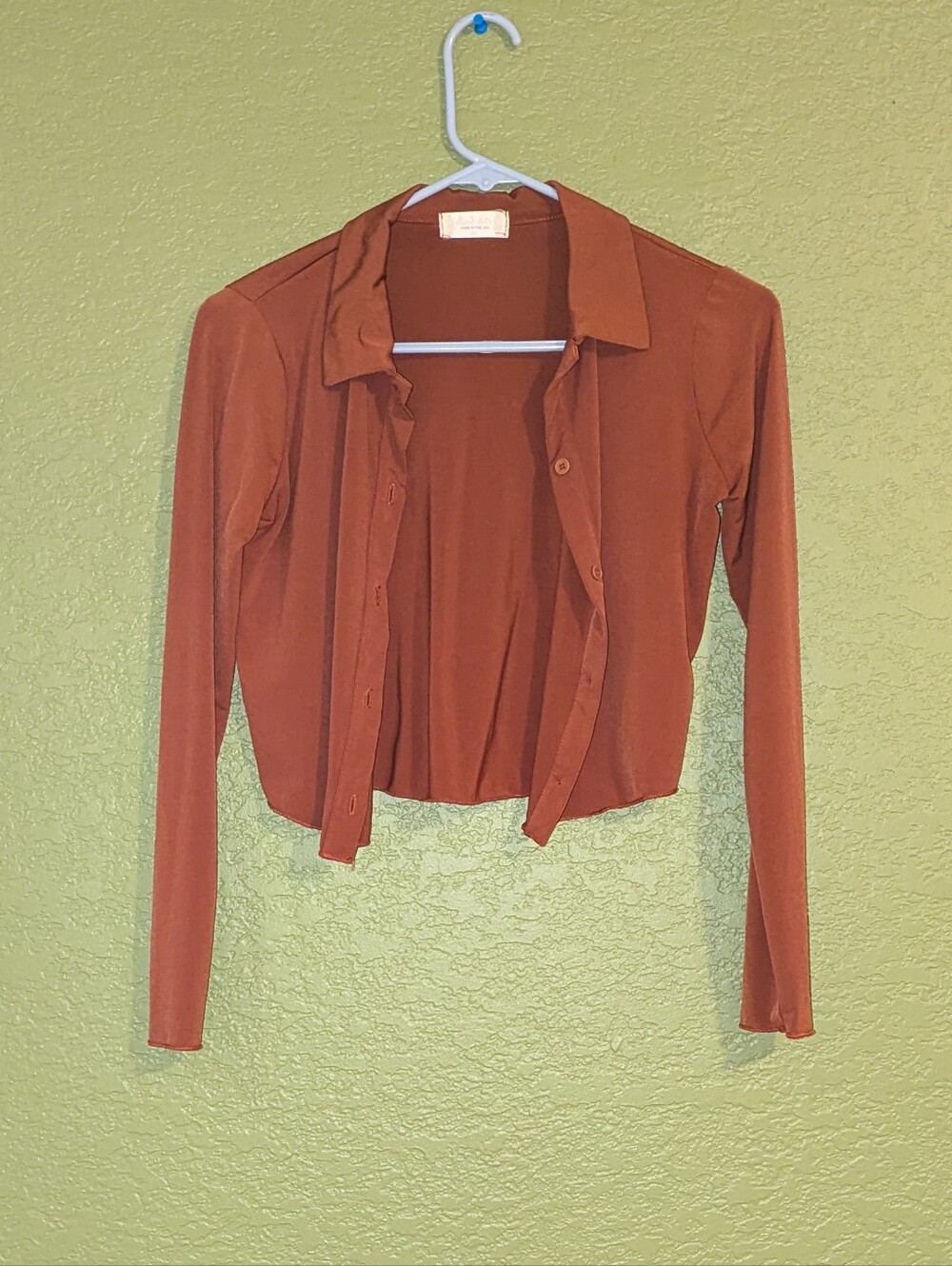 Altar' State Rust Long-Sleeve Cropped Shirt